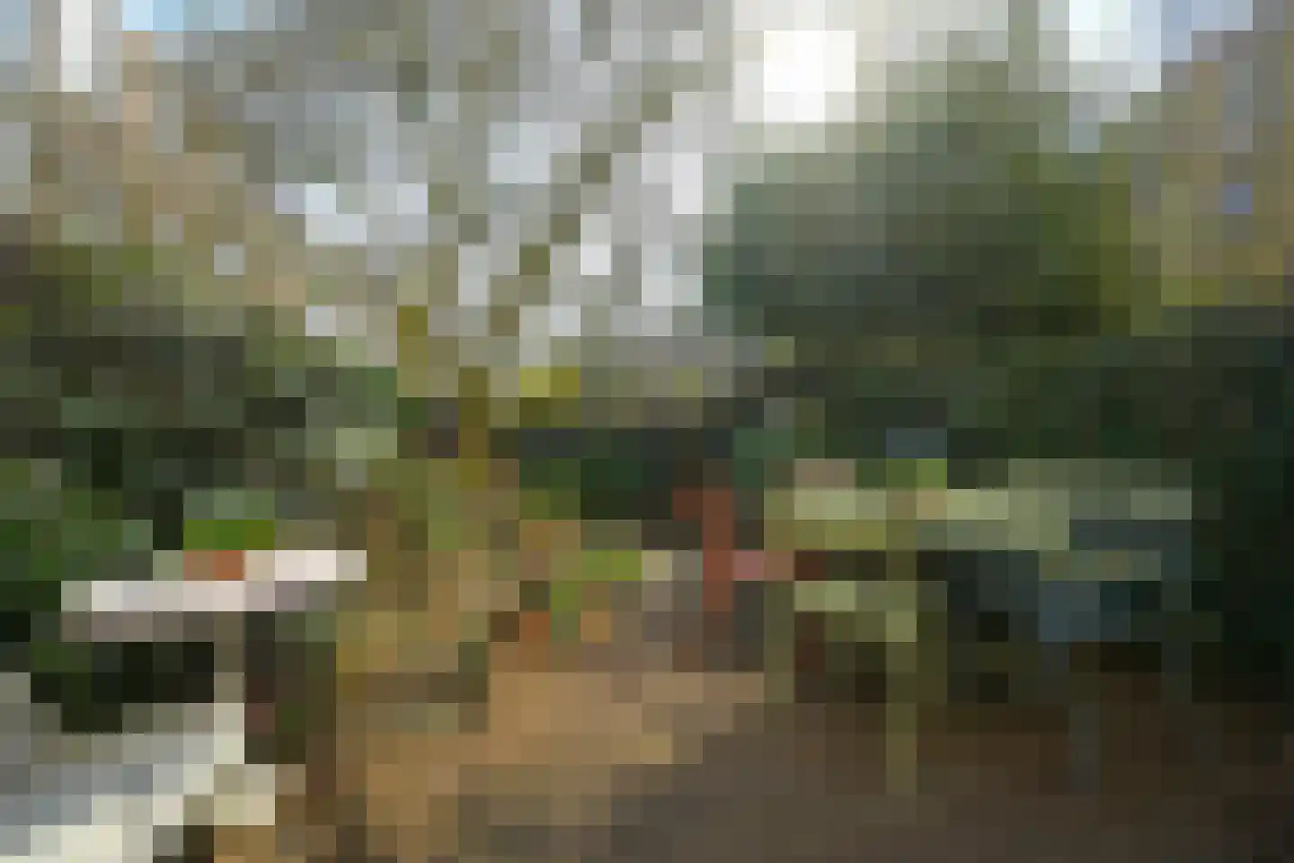 Koningsplein 39 Den Haag thumbnail 33