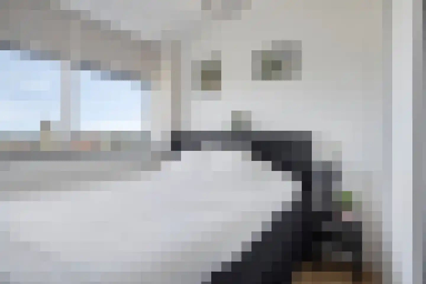 Koningsplein 57 K Maastricht thumbnail 17