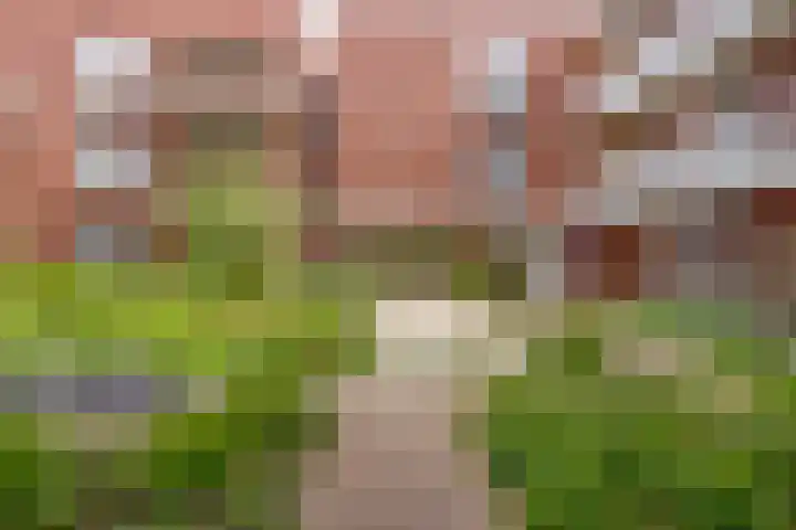Koningsplein 7 Asten thumbnail 10
