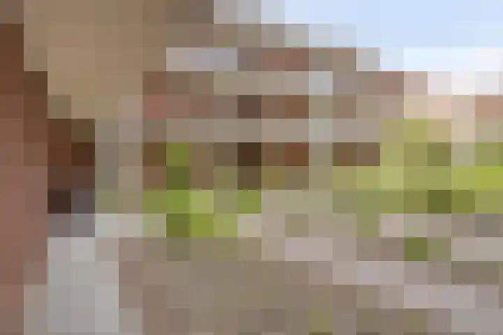Koningsplein 7 Asten thumbnail 11