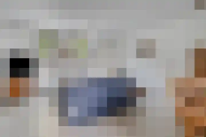 Koningsplein 7 Asten thumbnail 18