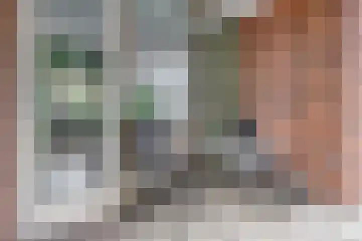 Koningsplein 7 Asten thumbnail 37