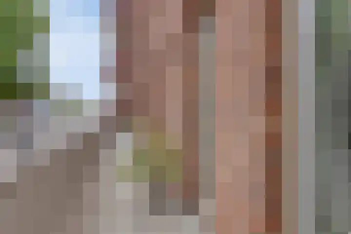 Koningsplein 7 Asten thumbnail 38