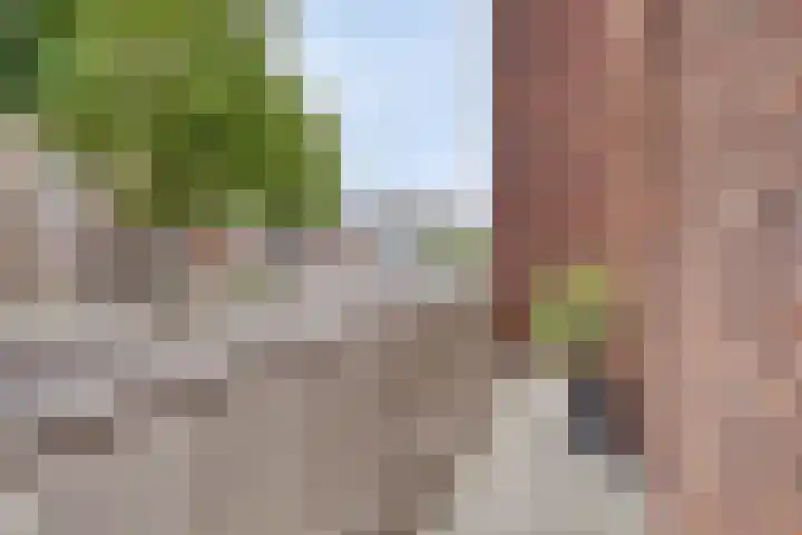 Koningsplein 7 Asten thumbnail 39