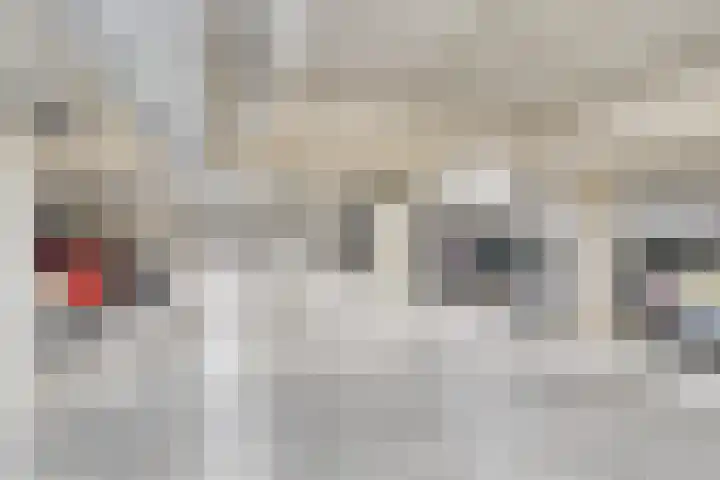 Koningsplein 7 Asten thumbnail 43