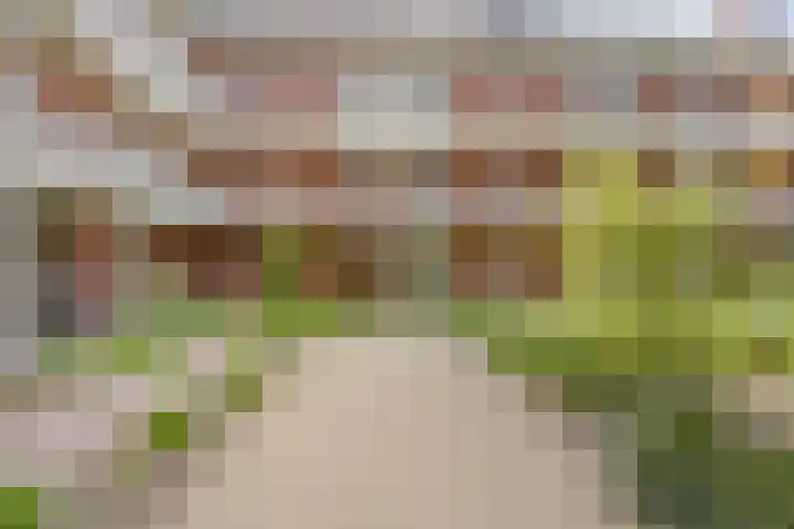 Koningsplein 7 Asten thumbnail 46