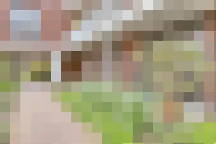 Koningsplein 7 Asten thumbnail 48