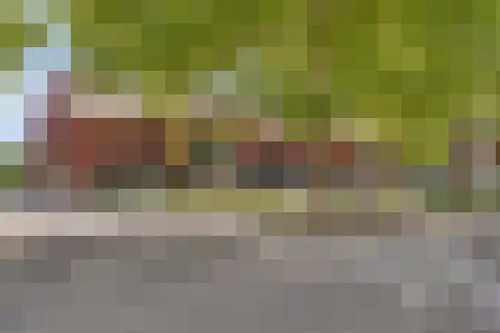 Koningsplein 7 Asten thumbnail 50