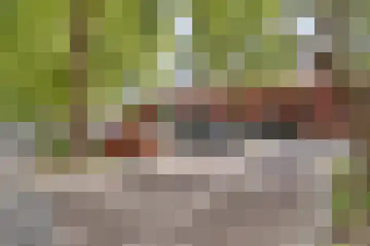 Koningsplein 7 Asten thumbnail 51