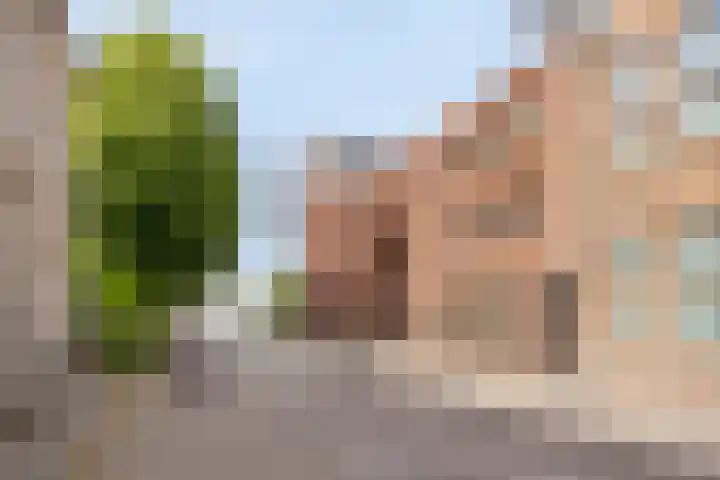 Koningsplein 7 Asten thumbnail 6