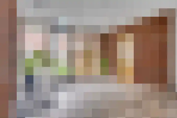 Koningsplein 7 Asten thumbnail 9