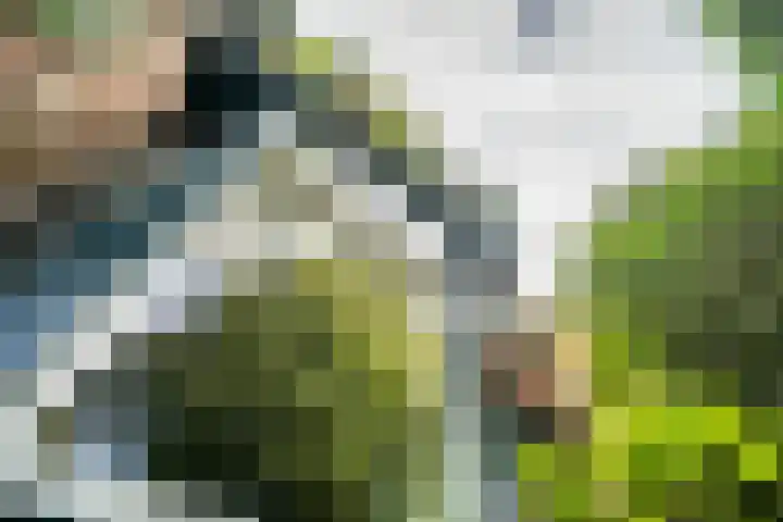 Koningsplein 87 Delft thumbnail 51