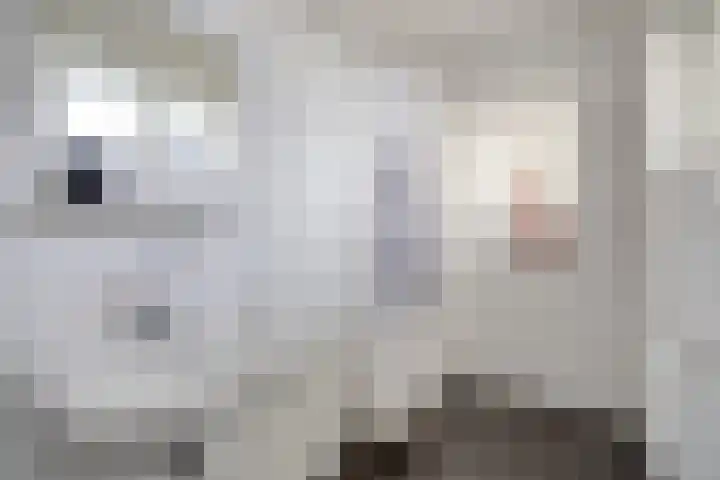 Koningsplein flat 116 B Maastricht thumbnail 15