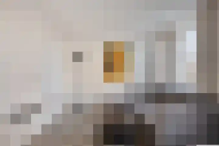 Koningsplein flat 116 B Maastricht thumbnail 4