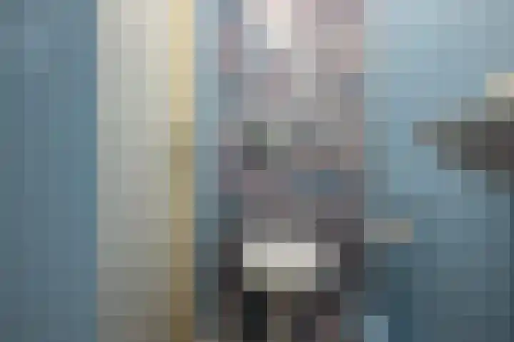 Koningspleisterplaats 107 Goedereede thumbnail 19