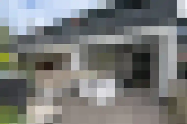 Koningspleisterplaats 107 Goedereede thumbnail 20