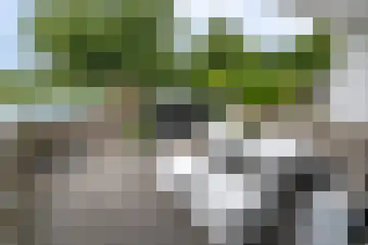 Koningspleisterplaats 107 Goedereede thumbnail 21