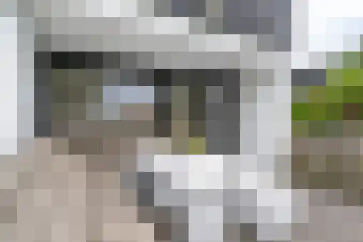 Koningspleisterplaats 107 Goedereede thumbnail 22
