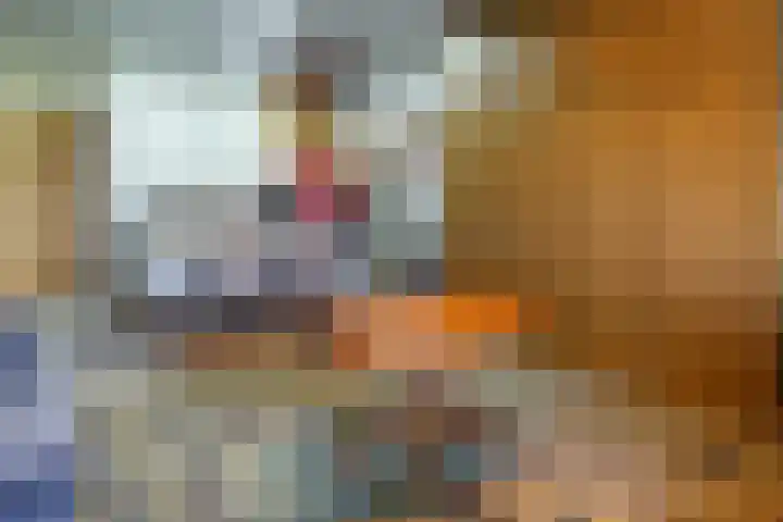 Koningspleisterplaats 214 Goedereede thumbnail 11