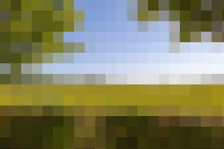 Koningspleisterplaats 214 Goedereede thumbnail 4