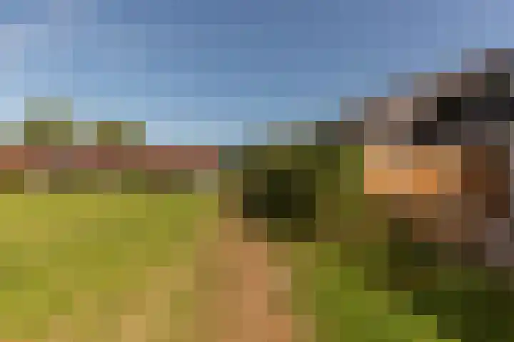 Koningspleisterplaats 214 Goedereede thumbnail 6