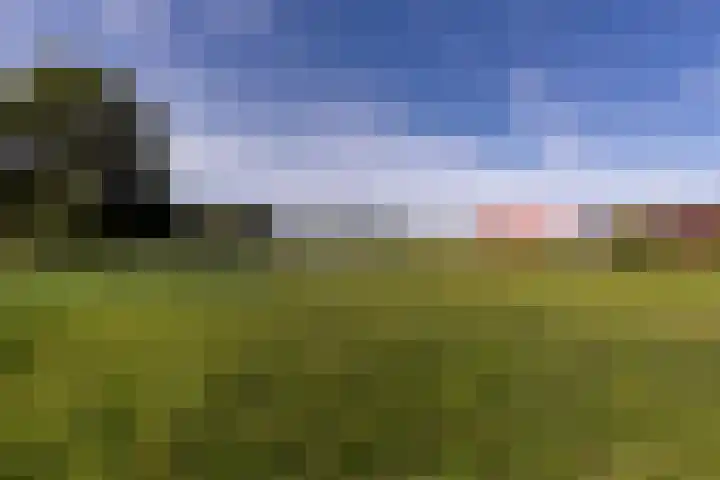 Koningspleisterplaats 214 Goedereede thumbnail 7