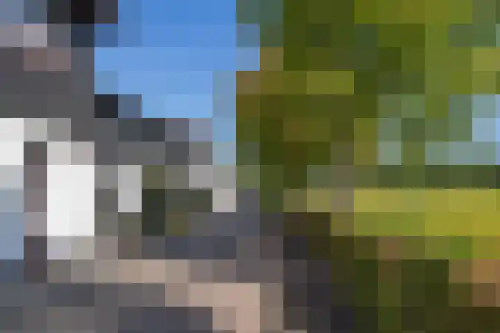 Koningspleisterplaats 214 Goedereede thumbnail 8