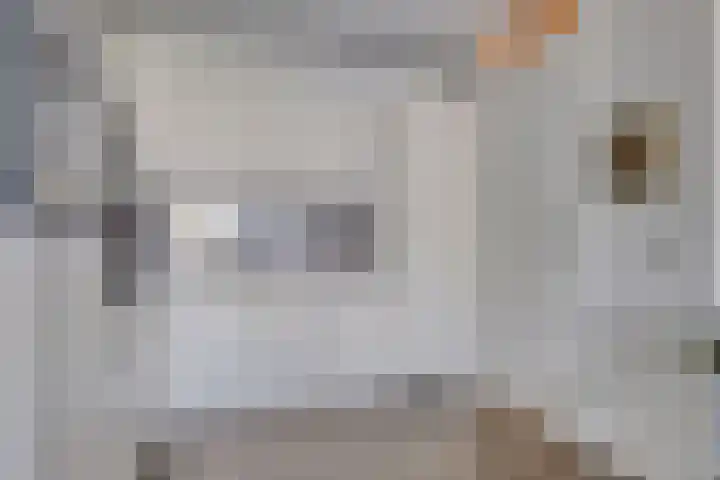 Koningsschild 40 Goirle thumbnail 17