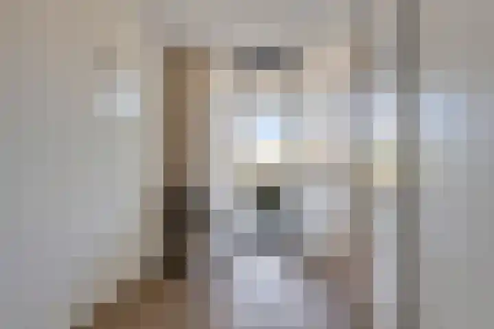 Koningsschild 40 Goirle thumbnail 25