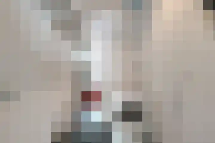 Koningsschild 40 Goirle thumbnail 27
