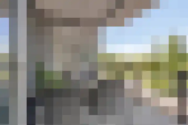Koningsschild 40 Goirle thumbnail 28