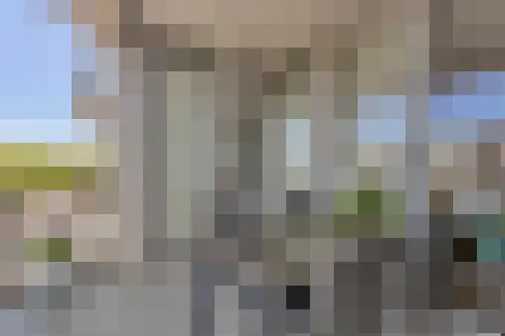 Koningsschild 40 Goirle thumbnail 29