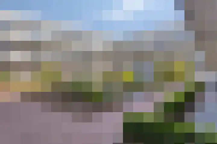 Koningsschild 40 Goirle thumbnail 31