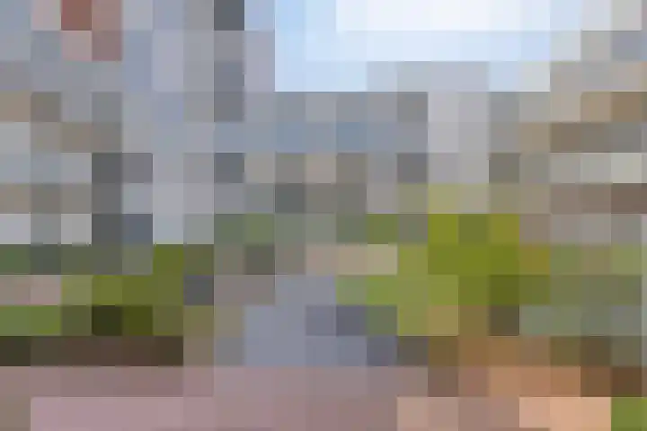 Koningsschild 40 Goirle thumbnail 32