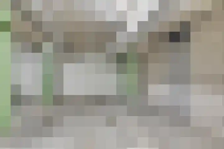 Koningsschild 40 Goirle thumbnail 33