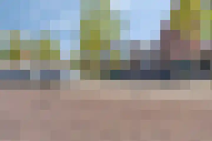 Koningsschild 40 Goirle thumbnail 37