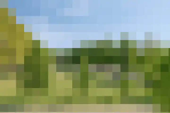 Koningsschild 40 Goirle thumbnail 38