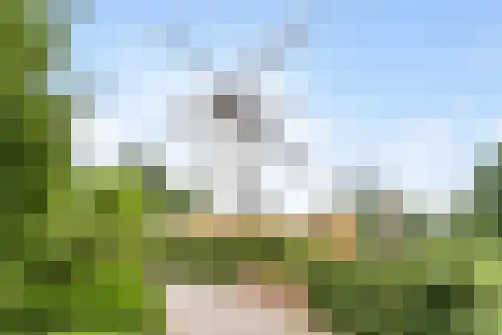 Koningsschild 40 Goirle thumbnail 39
