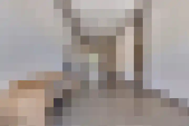 Koningsschild 40 Goirle thumbnail 8