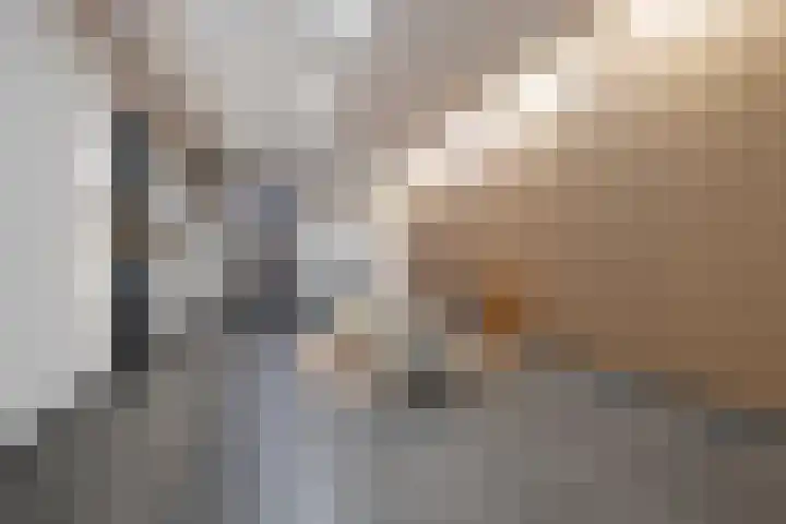 Koningsschild 40 Goirle thumbnail 9
