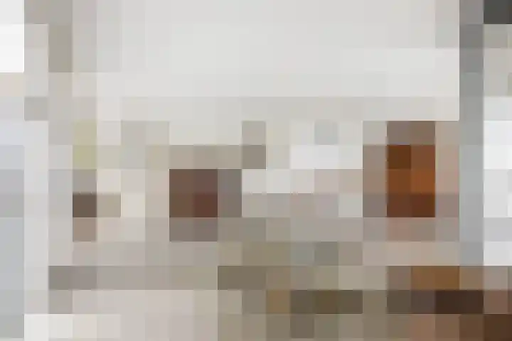 Koningsschild 44 Goirle thumbnail 10