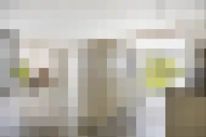 Koningsschild 44 Goirle thumbnail 15