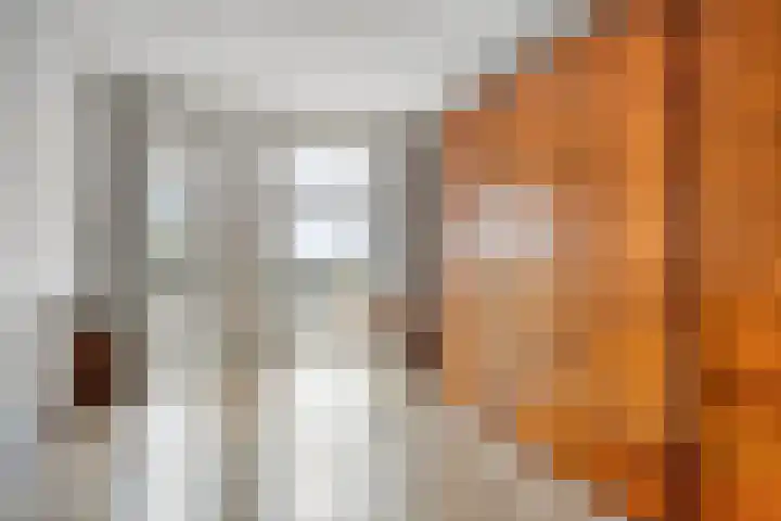 Koningsschild 44 Goirle thumbnail 17