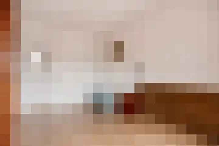 Koningsschild 44 Goirle thumbnail 18