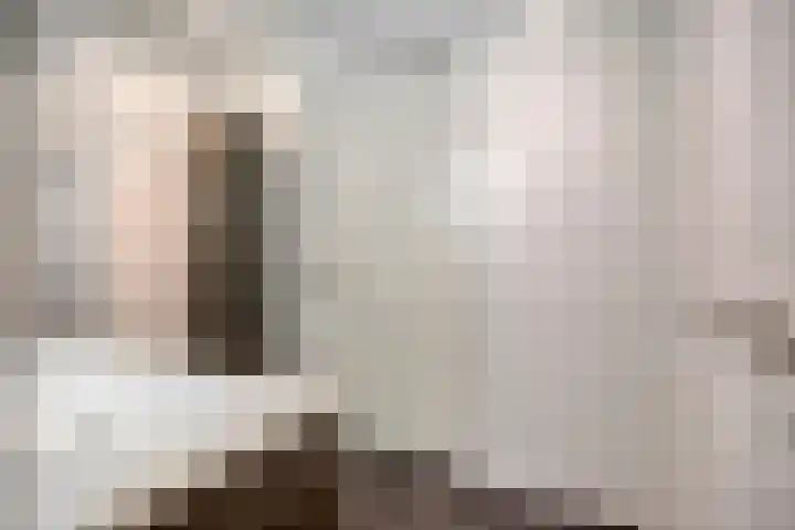 Koningsschild 44 Goirle thumbnail 22