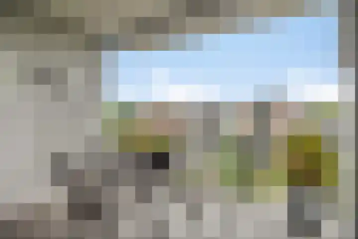 Koningsschild 44 Goirle thumbnail 25