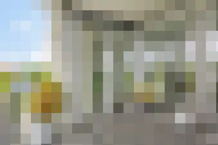 Koningsschild 44 Goirle thumbnail 26