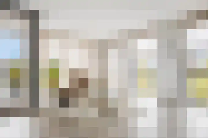 Koningsschild 44 Goirle thumbnail 9