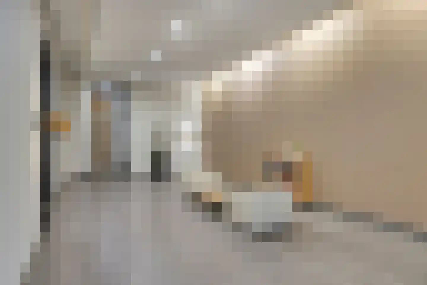 Koningsschild 89 Goirle thumbnail 12