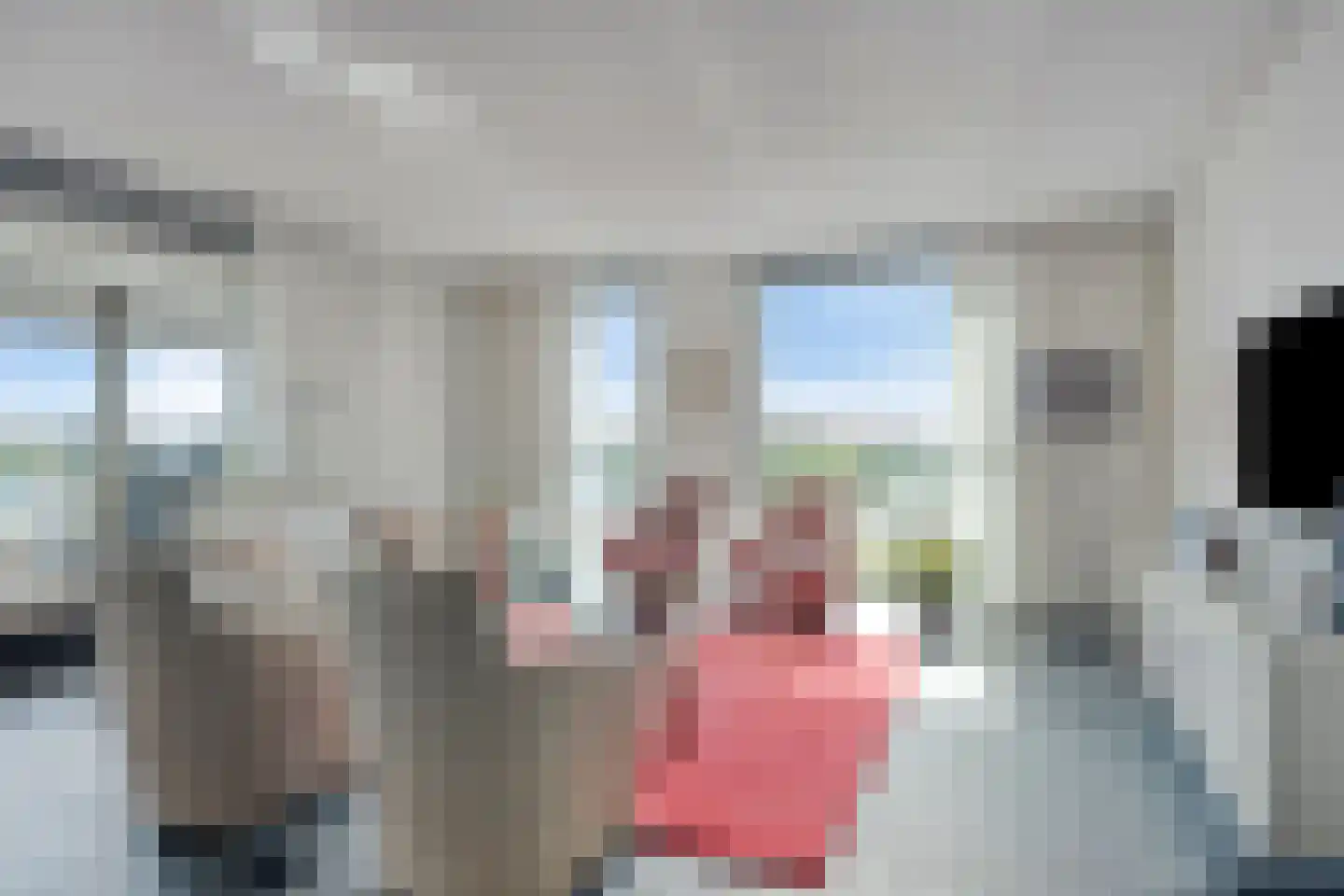 Koningsschild 89 Goirle thumbnail 17